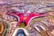 Abu Dhabi, el Parque Ferrari World.