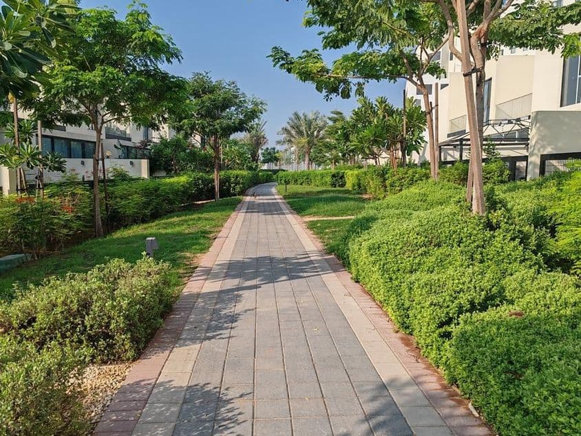 Dubái verde y paisajismo exuberante con alfombras de césped y árboles.