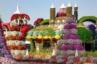 Dubai Miracle Garden lleno de castillos de cuento de hadas y más de 45 millones de flores.