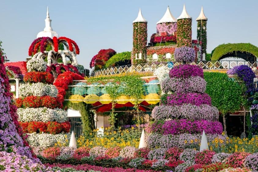 Dubai Miracle Garden lleno de castillos de cuento de hadas y más de 45 millones de flores.
