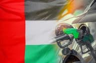 Coche en una gasolinera con la bandera de Emiratos Árabes Unidos de fondo.