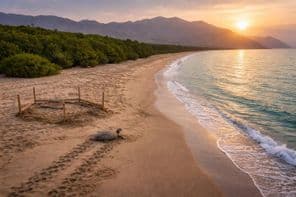 El Tesoro Preservado de Kalba Beach