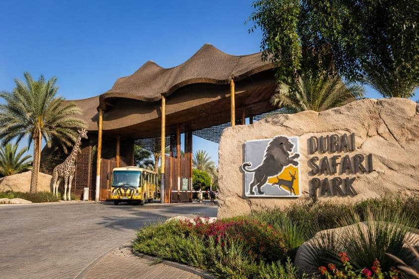 Entrada al Dubai Safari Park