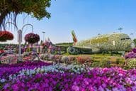 Sueño de avión cubierto de flores