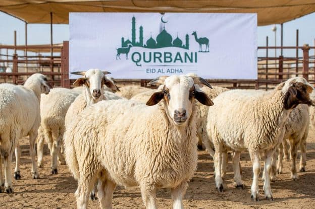 Preparativos de Qurbani en Dubái