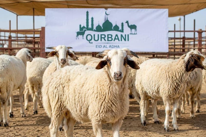 Preparativos de Qurbani en Dubái