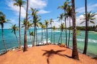 Las palmeras de Mirissa, Sri Lanka