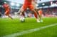 Césped y línea de banda en campo de fútbol en estadio